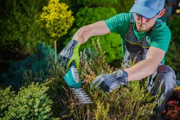 landscaping services Bennet